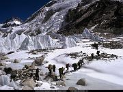 National Geographic Wallpapers 037_jpg